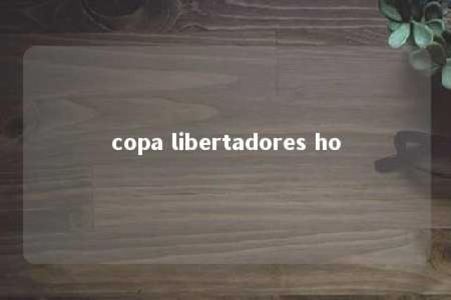 copa libertadores ho 